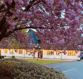 Hotels in Hockley Heath